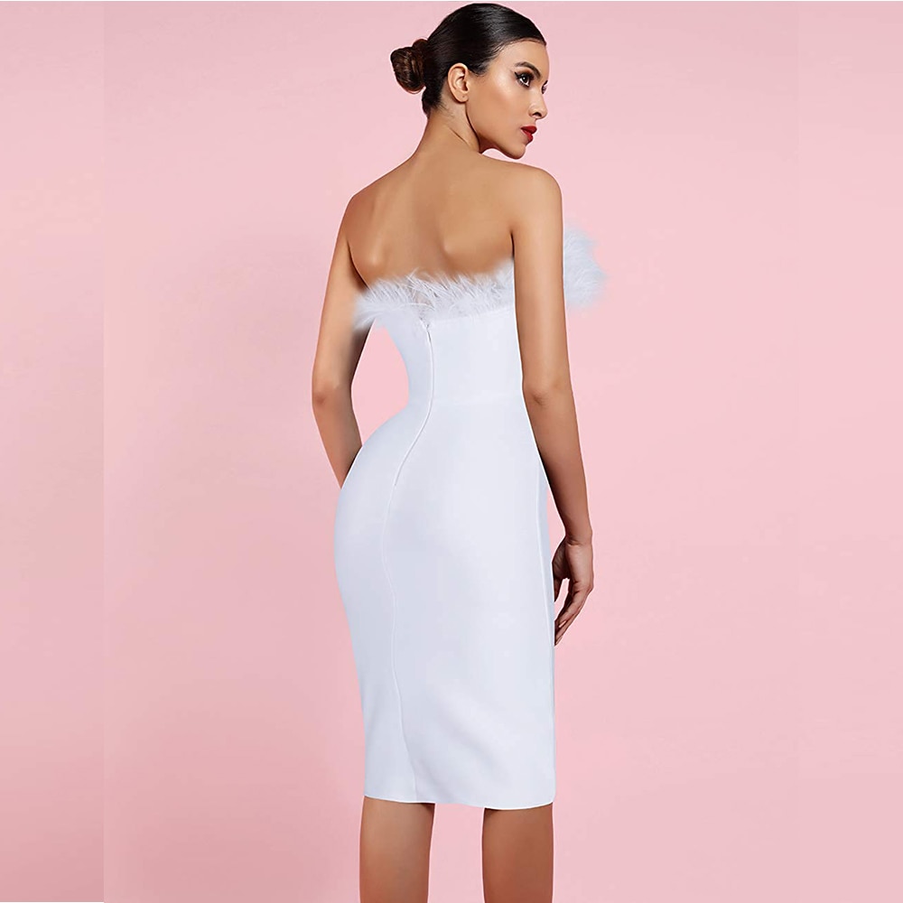 Women's Fur Trim Party Dress Women's Fur Trim Party Dress
